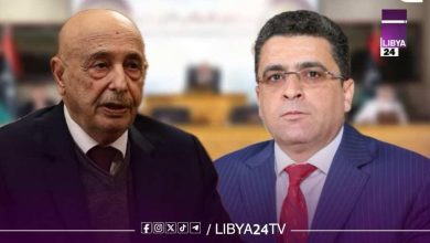 مجلس النواب يؤكد استمرار خالد شكشك رئيسًا لديوان المحاسبة