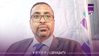 المحلل السياسي إدريس احميد،