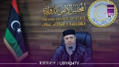 أحمد يعقوب، نائب رئيس اللجنة القانونية بالمجلس الأعلى للدولة،