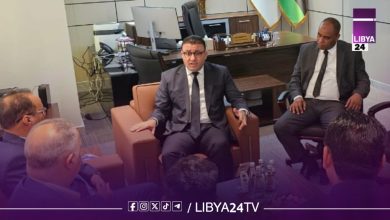 وزير الدولة لشؤون الاتصال يستقبل رئيس وممثلي الاتحاد المغاربي للصحافيين