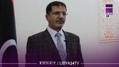 عضو مجلس النواب ، عبد النبي عبد المولى