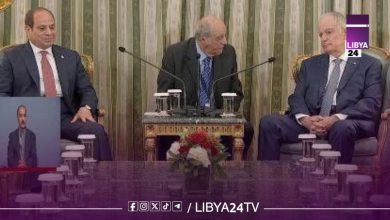 الرئيس المصري والرئيس اليوناني