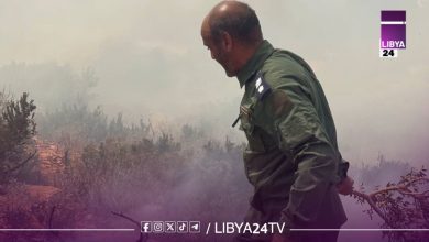 حرائق الكيلو9 فى المرج