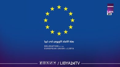 بعثة الاتحاد الاوروبي