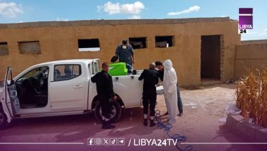 انطلاق حملة لمكافحة الجراد في الأصابعة