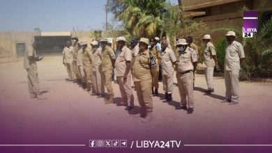 جهاز مكافحة الهجرة