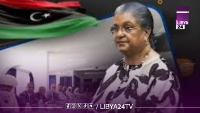 البعثة الأممية