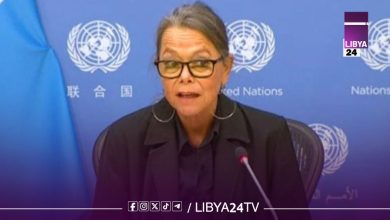 الأمم المتحدة تعين سويدية نائبةً للممثلة الخاصة في ليبيا
