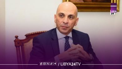 المتحدث باسم الخارجية المصرية