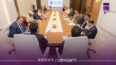 صندوق التنمية ووزارة الكهرباء يبحثان ضمان استقرار الشبكة