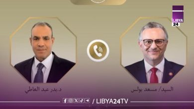 القاهرة وواشنطن تؤكدان دعم الحلول السياسية وتوحيد المؤسسات الليبية