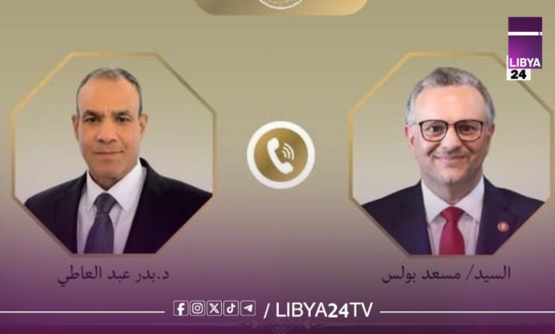 القاهرة وواشنطن تؤكدان دعم الحلول السياسية وتوحيد المؤسسات الليبية