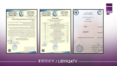 وزارة العمل تُحيل بيانات 1132 عاملاً للخدمة المدنية بليبيا