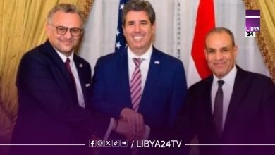 عبد العاطي يؤكد ضرورة إجراء الانتخابات الليبية الرئاسية والبرلمانية بالتزامن في أقرب وقت