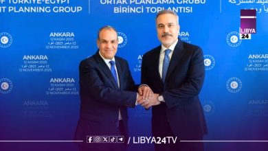 مصر وتركيا تجددان التزامهما باستقرار ليبيا