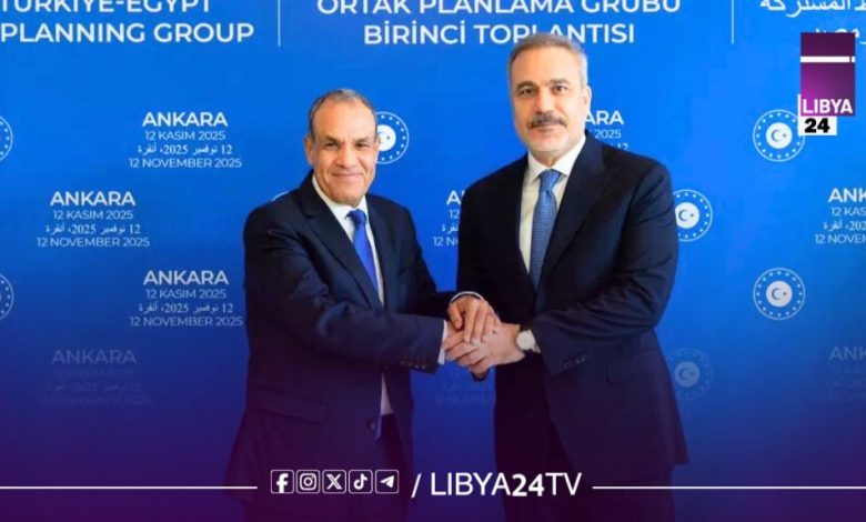 مصر وتركيا تجددان التزامهما باستقرار ليبيا