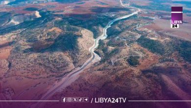 صندوق التنمية يجري اختبارات السلامة على كوبري طريق الباكور