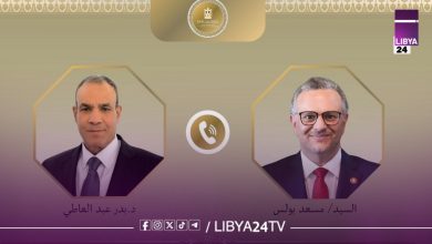 مصر تجدد دعمها لوحدة ليبيا وتدعو لتسوية سياسية شاملة