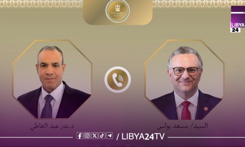 مصر تجدد دعمها لوحدة ليبيا وتدعو لتسوية سياسية شاملة