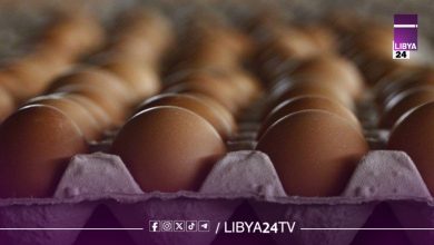 مقاطعة شعبية تهز سوق البيض بطرابلس وسط انفلات الأسعار