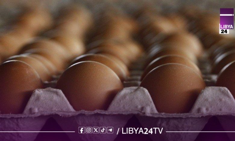 مقاطعة شعبية تهز سوق البيض بطرابلس وسط انفلات الأسعار