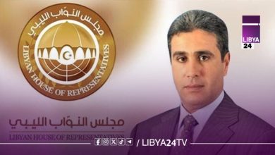 عضو مجلس النواب فهمي التواتي