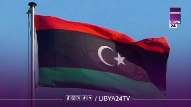 الشاوش يحذّر: غياب التوافق الليبي يفتح الباب لتدخل دولي أوسع