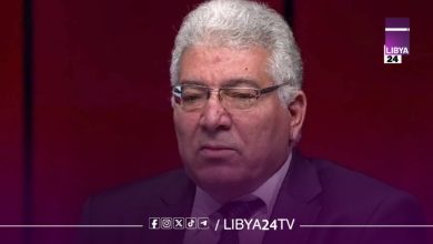 عضو مجلس الدولة الاستشاري إدريس بوفايد،