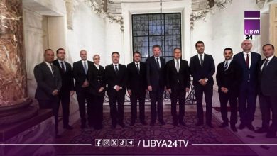 القاهرة وأنقرة تؤكدان دعم وحدة ليبيا وإجراء الانتخابات