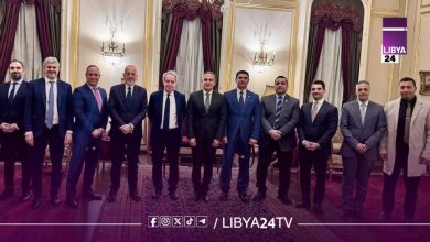 مشاورات مصرية يونانية تطالب بخروج المرتزقة من ليبيا