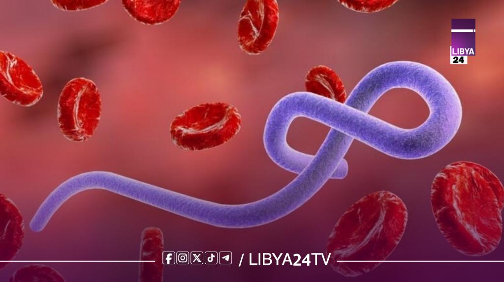 الصحة العالمية: 906 حالات مشتبه بإصابتها بفيروس إيبولا بالكونغو الديمقراطية